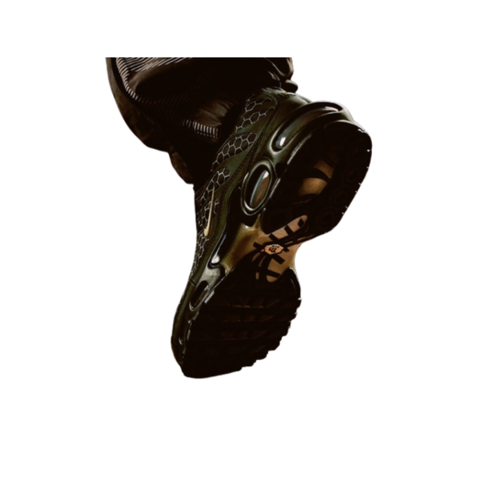 Nike Air Max Plus TN (Black Honey / Manchester )
