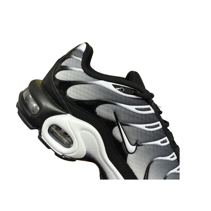 Nike Air Max Plus TN ( Black Silver White )