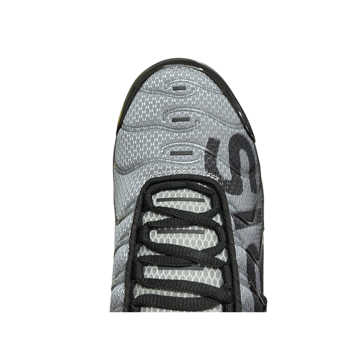 Nike Air Max Plus TN( PSG Black Particle Grey )