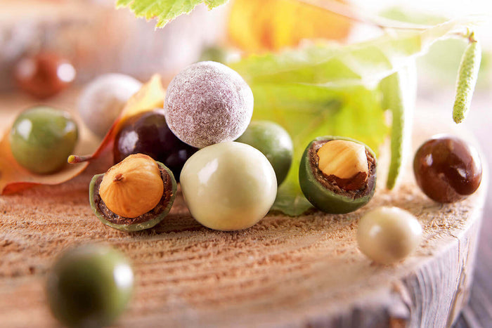Bonbons au chocolat François Doucet Noisettes de nos Forêts sachet de 200g