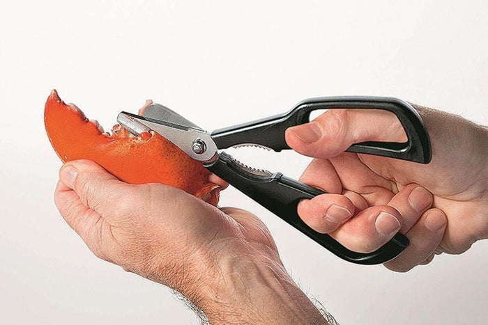 Ciseaux à crustacés MoHA! Scampo démontables inox et ABS