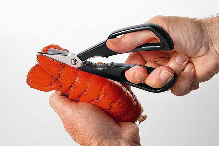 Ciseaux à crustacés MoHA! Scampo démontables inox et ABS