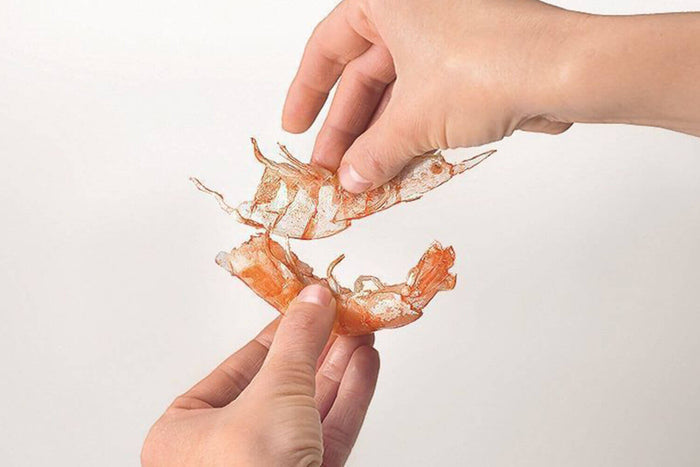 Ciseaux à crustacés MoHA! Scampo démontables inox et ABS