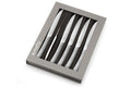 Coffret 6 couteaux à steak Amefa Bongo XL tout inox