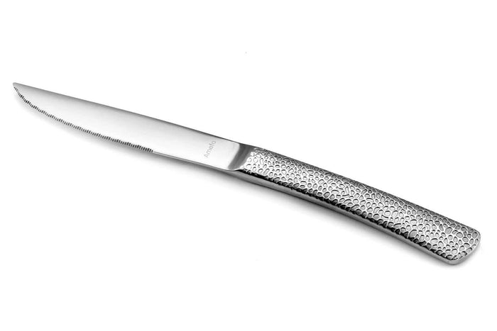 Coffret 6 couteaux à steak Amefa Bongo XL tout inox