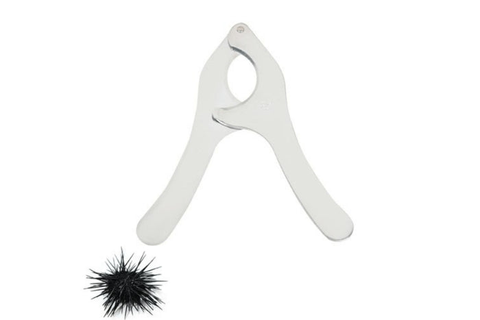Coupe oursin Chevalier Diffusion en acier inox