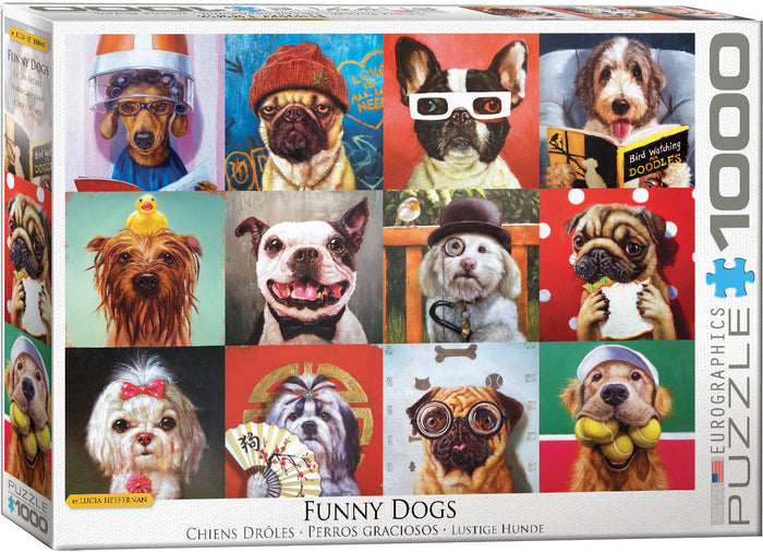 Funny Dogs