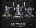 Hordes Legion of Everblight: Blackfrost Shard (Blighted Nyss Character Unit)