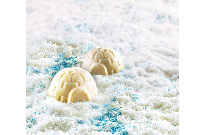 Moule en silicone professionnel Silikomart Silicon Flex 6 igloos