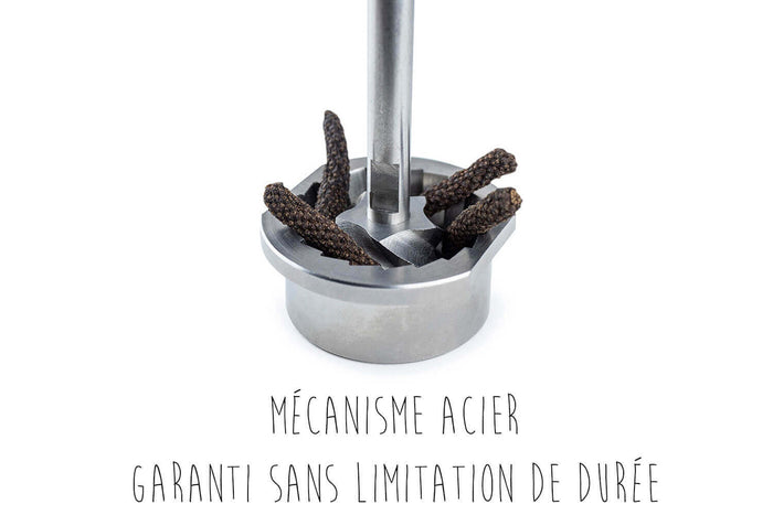 Moulin à poivre long manuel Peugeot Isen en bois et inox 16cm