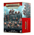 Ogor Mawtribes Vanguard Box