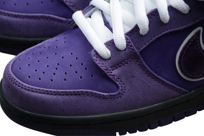 Nike SB Dunk Low Concepts Purple Lobster