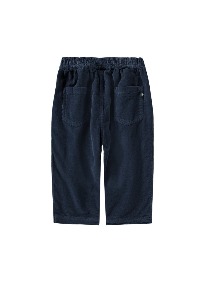 Navy blue pants on a white background