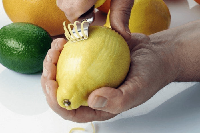 Zesty 4 en 1 multifonction manche en polypropylène avec 2 étuis de protection